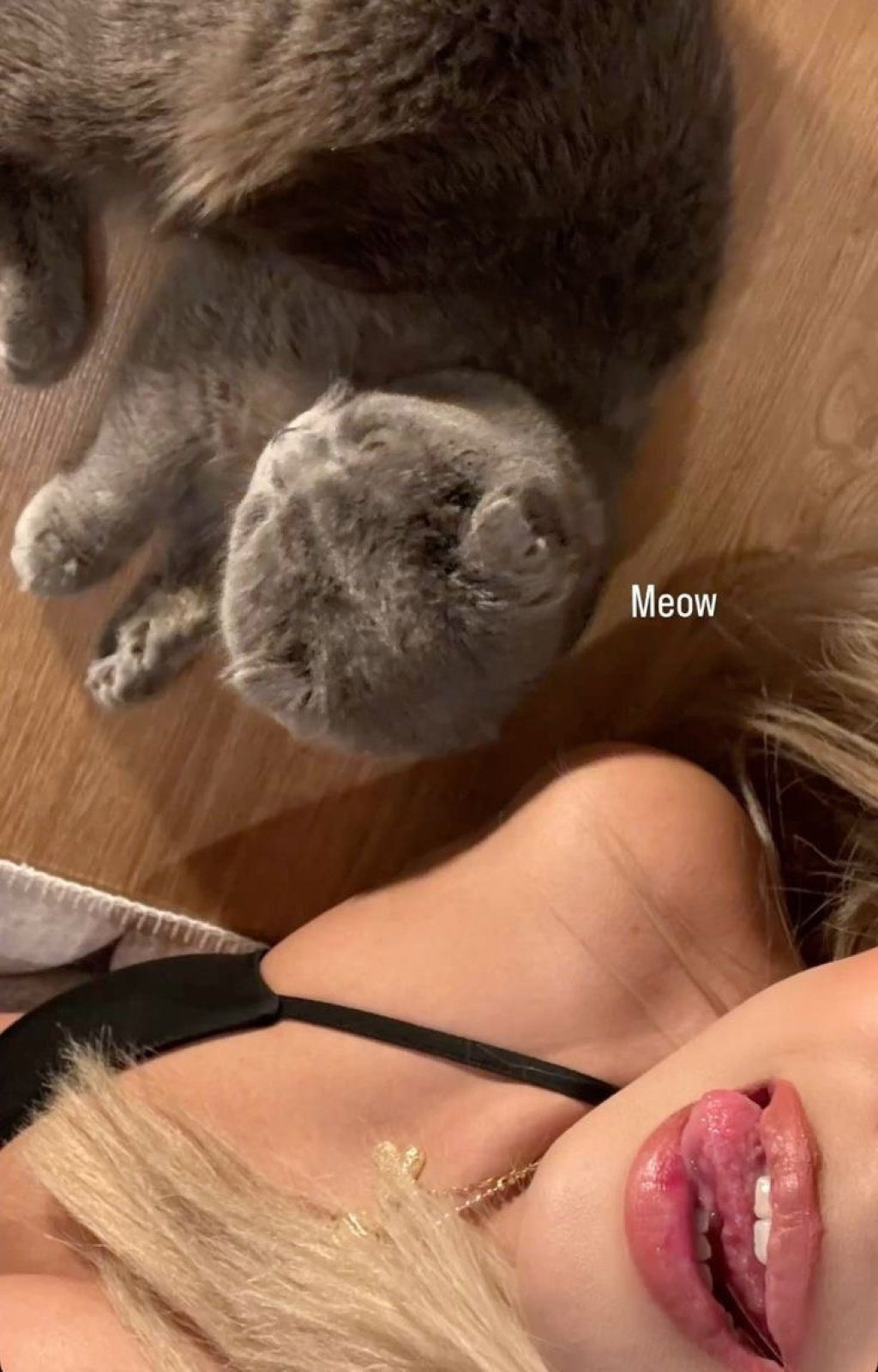 Алана : проститутки индивидуалки в Омске