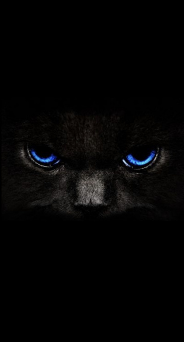 Алина : индивидуалка проститутка Омска