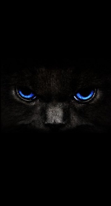 Алина : индивидуалка проститутка Омска