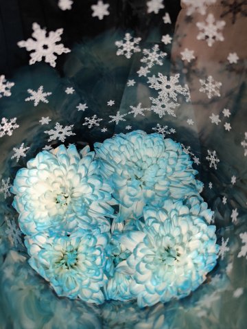 Цветочек: индивидуалка проститутка Омска