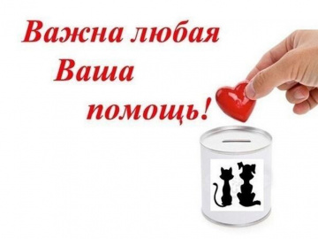 »: индивидуалка проститутка Омска